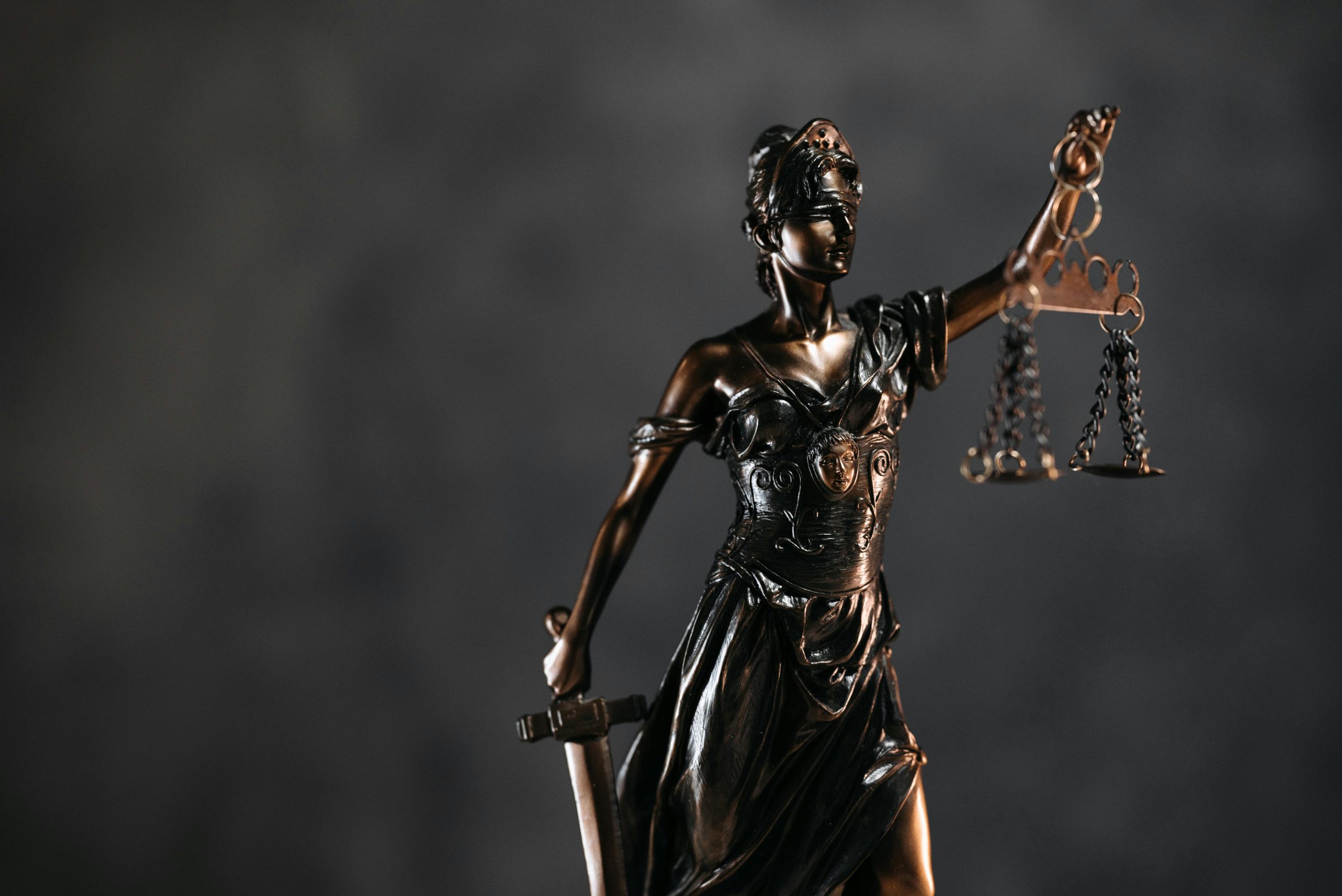litigii (2)